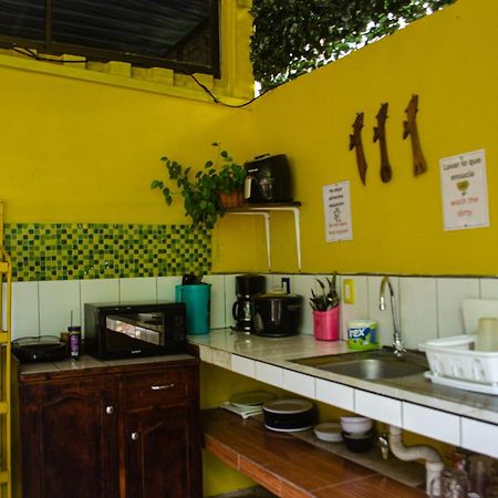 The Jungle Container Bed and Breakfast Quepos Buitenkant foto