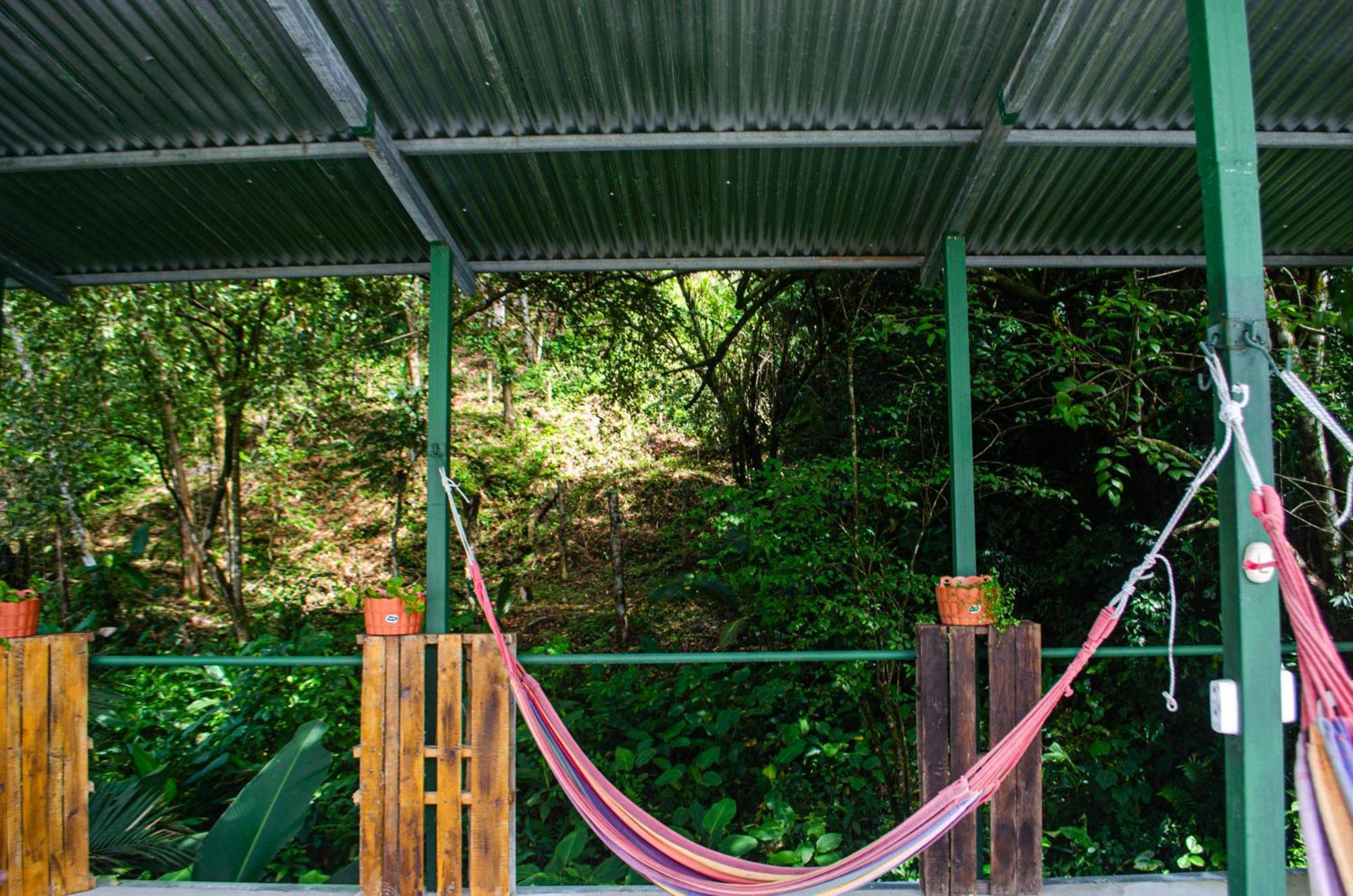 The Jungle Container Bed and Breakfast Quepos Buitenkant foto